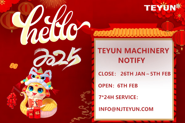 Teyun wishes you a happy new year